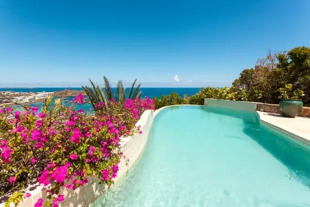 Bougainvillea pool